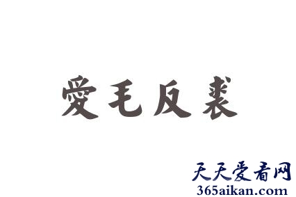 爱毛反裘的含义是什么？爱毛反裘的故事介绍