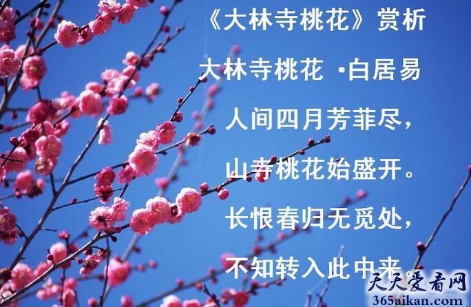 白居易大林寺桃花鉴赏.jpg