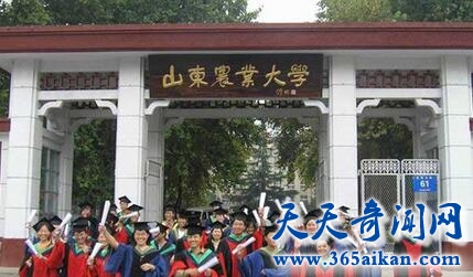 山东农业大学1.jpg