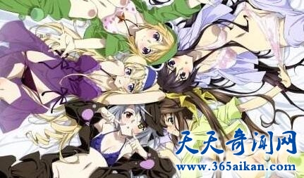 《Infinite Stratos》1.jpg