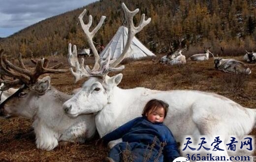 清凉一夏，10张图片告诉您地球另一边美丽的夏天！