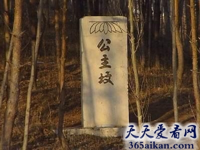 揭秘北京公主坟的来历，北京公主坟里面埋葬的是谁？