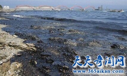 海洋生态环境恶化1.jpg