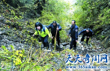 揭秘大巴山恐怖的人熊传说，人熊频频现身人类居住地！