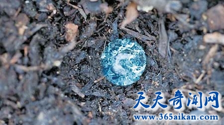 世界上最奇特的雨，伯恩茅斯“果冻雨”之谜