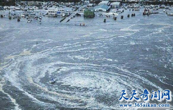 福岛核电站事故影响.jpg