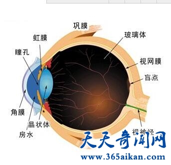 飞秒激光近视手术技术，飞秒激光近视手术要注意哪些