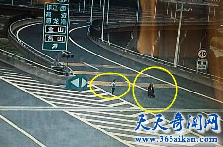 老太高速路“疯狂”拦车