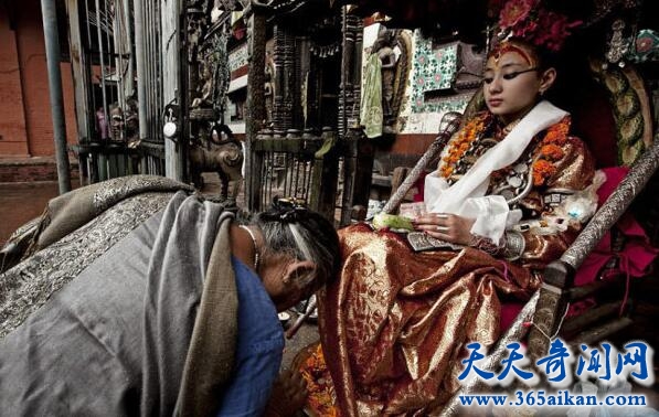 外国奇特风俗习惯，尼泊尔活女神精彩人生背后的心酸！