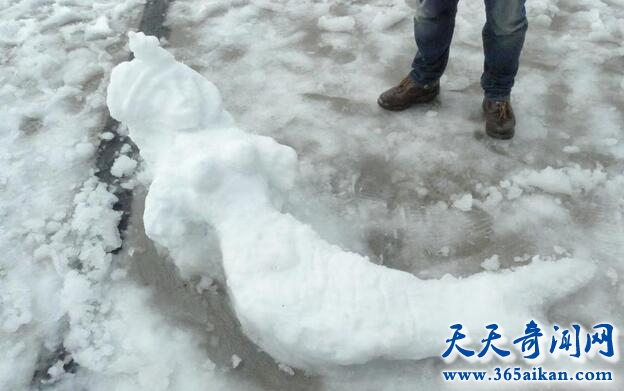 东方雪人