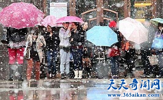 哈尔滨罕见5月飞雪，临近夏日的清凉！