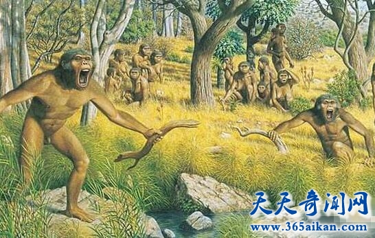 人类祖先竟不是古猿？八大证据揭开人类祖先的真实面目！