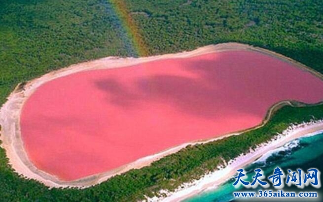 探索澳大利亚的情侣圣地，粉色希勒湖的绝美景色！