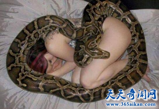 骇人听闻！蟒蛇每晚缠着女子睡觉，真相竟是这样的！