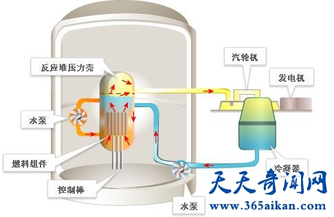 核反应堆4.jpg