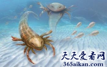 全球那些已经灭绝的海洋奇异古生物有哪些？全球那些已经灭绝的海洋奇异古生物介绍