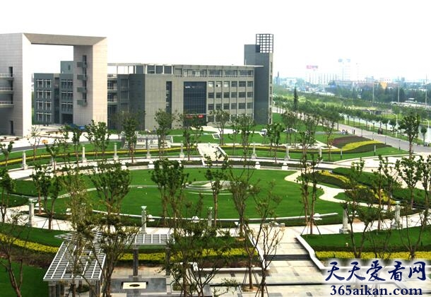 同济大学1.jpg