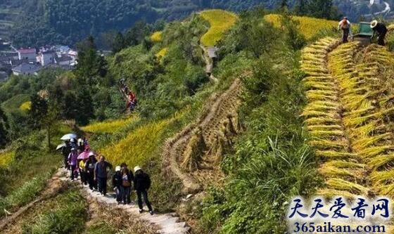 中国十大最美古道