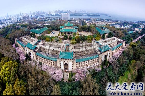 武汉大学.jpg