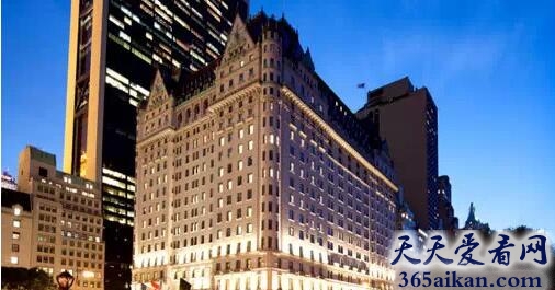 The Plaza Hotel 最高档次的欧陆美食广场