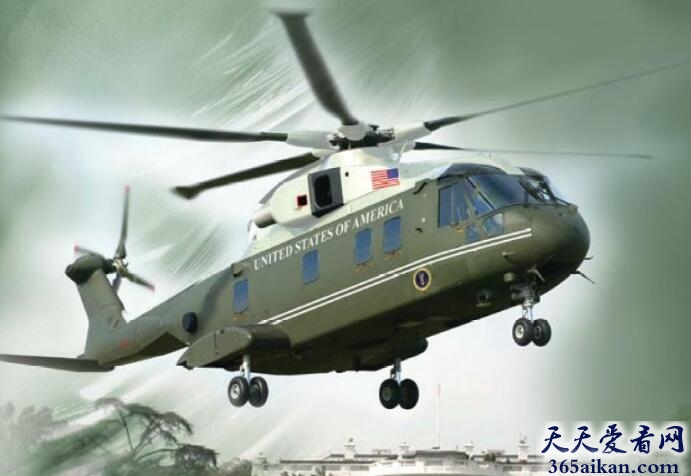 VH-71茶隼.jpg