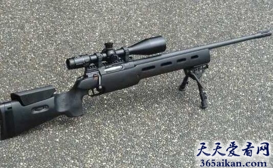 瑞士Sauer SSG3000狙击步枪