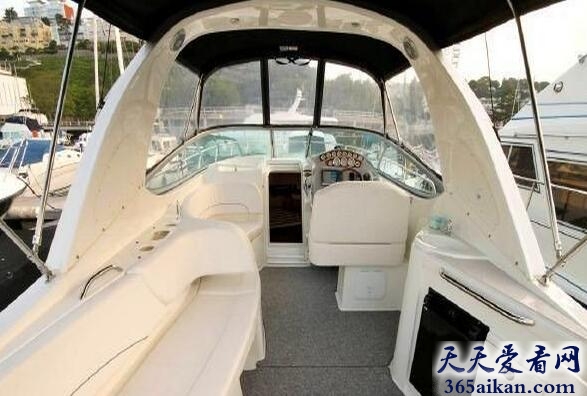 Bayliner 335