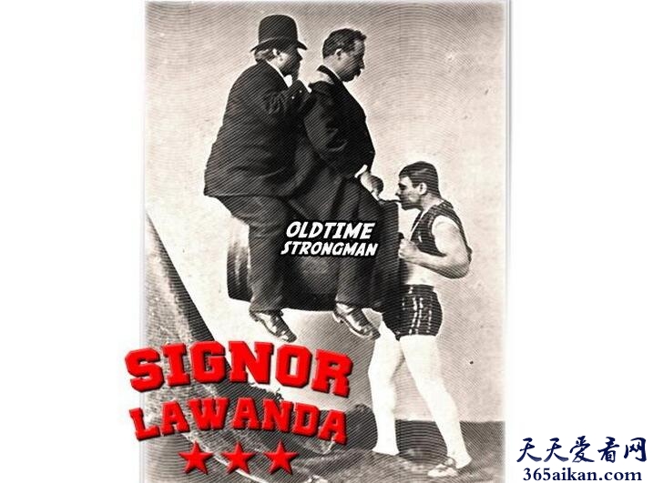 Signor Lawanda, 超强下巴