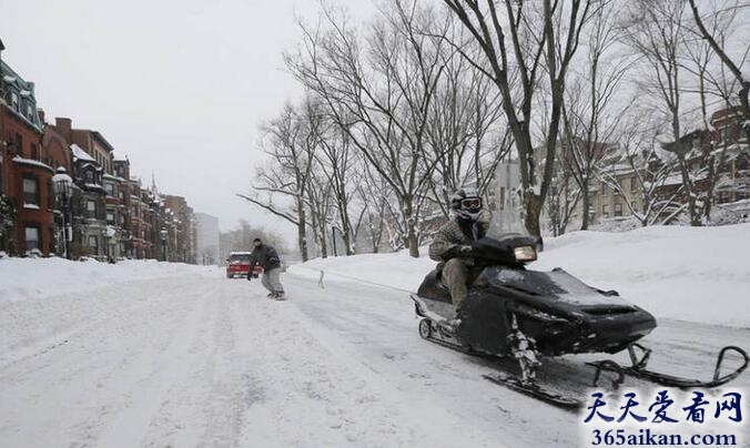 街头雪橇.jpg