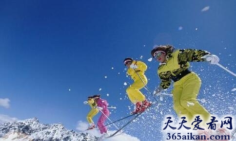 高山滑雪