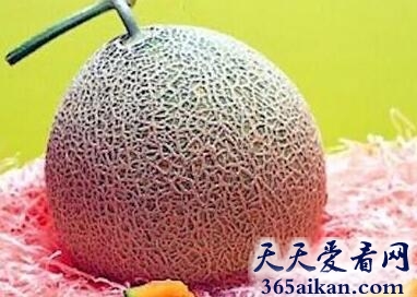 Yubari KING Melon