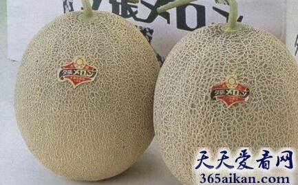 Yubari KING Melon.jpg