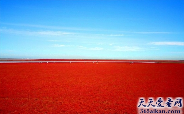 世界上含盐度最高的海是哪个？世界上含盐度最高的海介绍