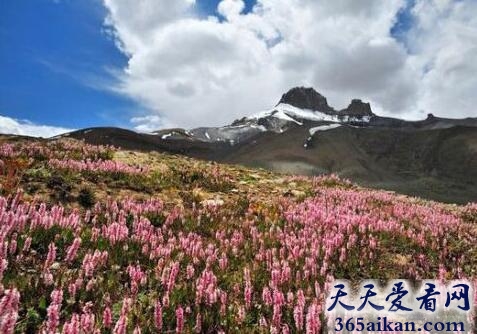 盘点全球最危险的旅游地有哪些？球最危险的旅游地介绍