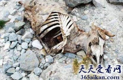 盘点世界上的八大“死亡谷”有哪些？世界上的八大“死亡谷”介绍