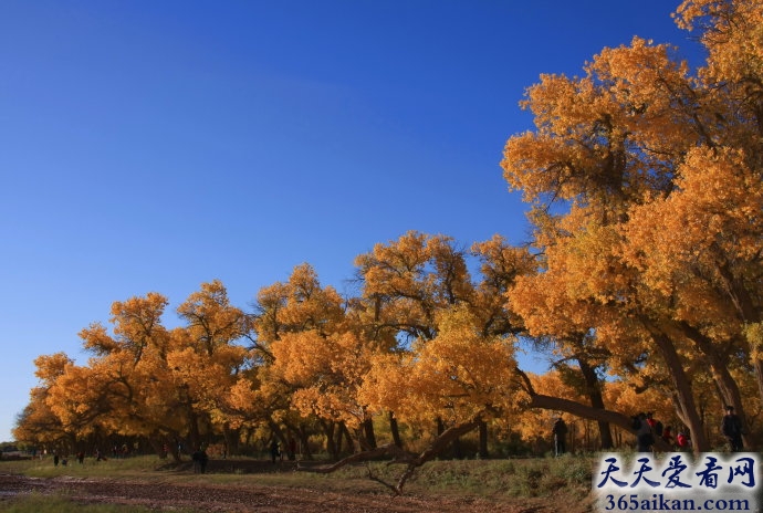 盘点中国极美又鲜为人知的十大景色是哪些？中国极美又鲜为人知的十大景色美图赏析