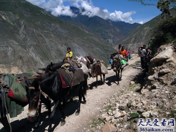 盘点中国十大探险盛地是哪些？中国十大探险盛地图片赏析