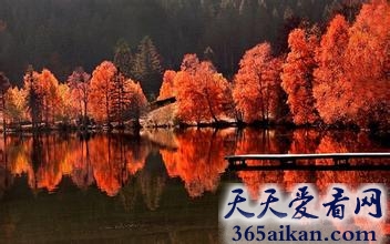 细数中国十大最美丽的秋天景色有哪些地方？中国十大最美丽的秋天景色美图欣赏