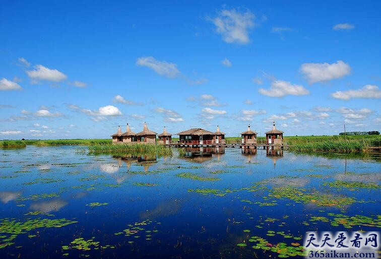 鹤鸣湖.jpg