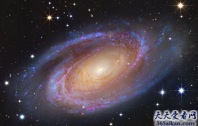 M81