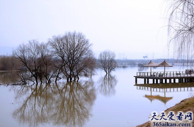 灞柳风雪.jpg