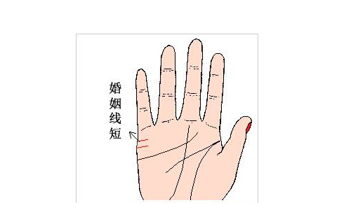 婚姻线图解103线知识大全.jpg