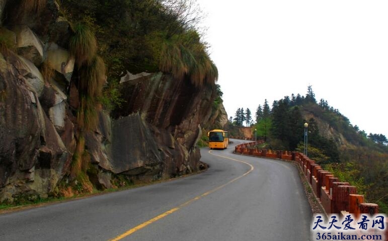 梦见开车道路很崎岖