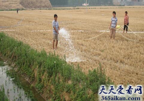 梦见浇地水流走