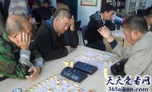 梦见下象棋输了