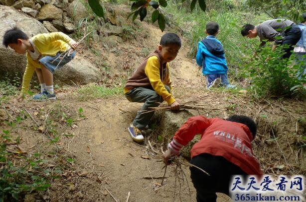 梦见上山捡柴