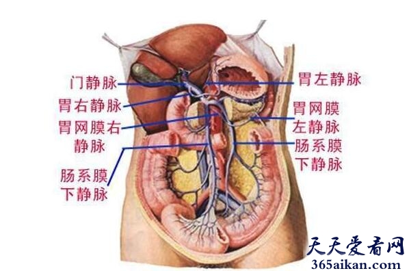 梦见内脏好不好？梦见内脏有什么寓意？