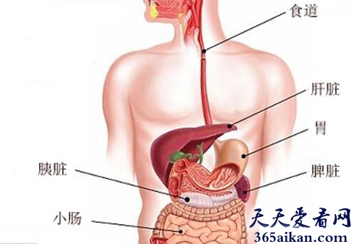 梦见肝脏好不好？梦见肝脏是什么意思？