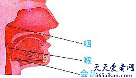 梦见咽喉是什么意思？梦见咽喉有什么寓意？