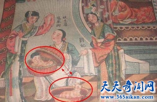 狸猫换太子5.jpg